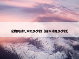 宠物狗结扎大概多少钱（给狗结扎多少钱）