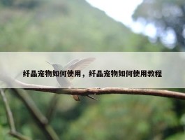 纤晶宠物如何使用，纤晶宠物如何使用教程