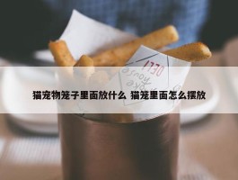 猫宠物笼子里面放什么 猫笼里面怎么摆放