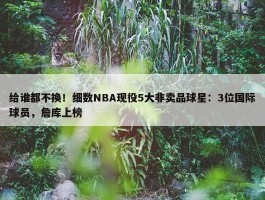 给谁都不换！细数NBA现役5大非卖品球星：3位国际球员，詹库上榜