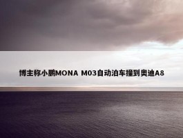 博主称小鹏MONA M03自动泊车撞到奥迪A8