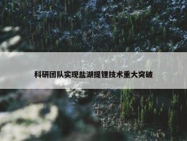 科研团队实现盐湖提锂技术重大突破