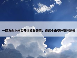 一网友向小米公开道歉并赔偿：造谣小米受外资控制等