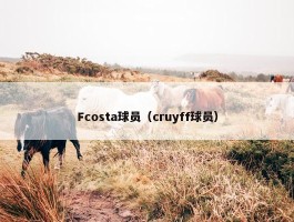 Fcosta球员（cruyff球员）