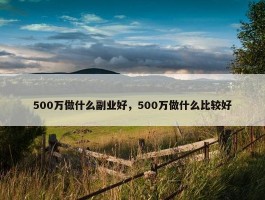 500万做什么副业好，500万做什么比较好