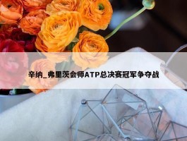 辛纳_弗里茨会师ATP总决赛冠军争夺战