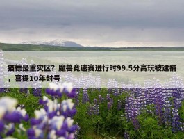 猫德是重灾区？魔兽竞速赛进行时99.5分高玩被逮捕，喜提10年封号