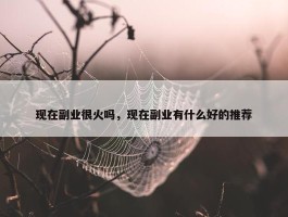 现在副业很火吗，现在副业有什么好的推荐