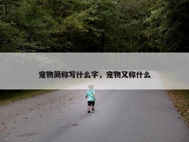 宠物简称写什么字，宠物又称什么