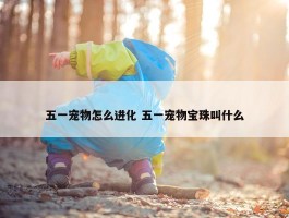 五一宠物怎么进化 五一宠物宝珠叫什么