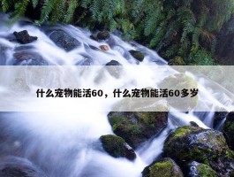 什么宠物能活60，什么宠物能活60多岁