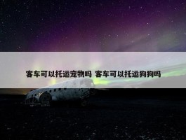 客车可以托运宠物吗 客车可以托运狗狗吗