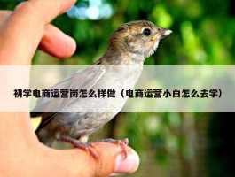 初学电商运营岗怎么样做（电商运营小白怎么去学）