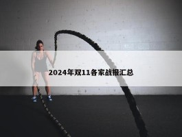 2024年双11各家战报汇总