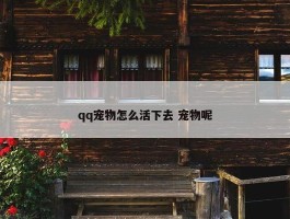 qq宠物怎么活下去 宠物呢