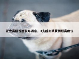 亚太赛区首度发布消息，3支越南队获得联赛席位