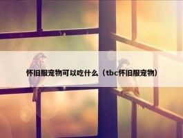 怀旧服宠物可以吃什么（tbc怀旧服宠物）