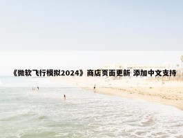 《微软飞行模拟2024》商店页面更新 添加中文支持