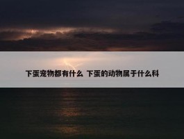 下蛋宠物都有什么 下蛋的动物属于什么科