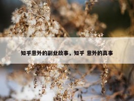 知乎意外的副业故事，知乎 意外的真事