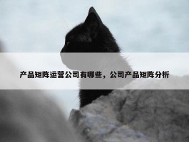 产品矩阵运营公司有哪些，公司产品矩阵分析