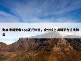 海底捞洞见者App正式停运，企业线上调研平台退出舞台