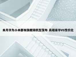 本月华为小米都有旗舰级机型发布 高端豪华VS性价比