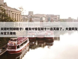 关键时刻掉链子！曝支付宝在双十一这天崩了，大量网友向官方要账