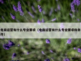 电商运营有什么专业要求（电商运营有什么专业要求和条件）