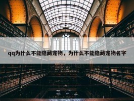 qq为什么不能隐藏宠物，为什么不能隐藏宠物名字