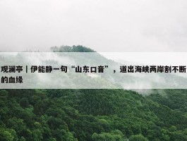 观澜亭｜伊能静一句“山东口音”，道出海峡两岸割不断的血缘