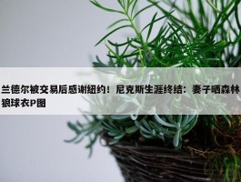 兰德尔被交易后感谢纽约！尼克斯生涯终结：妻子晒森林狼球衣P图