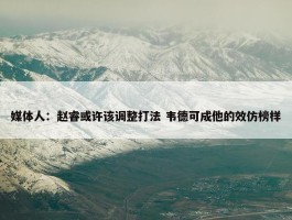 媒体人：赵睿或许该调整打法 韦德可成他的效仿榜样