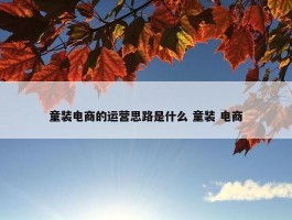 童装电商的运营思路是什么 童装 电商