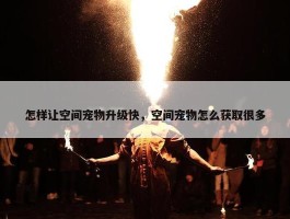 怎样让空间宠物升级快，空间宠物怎么获取很多