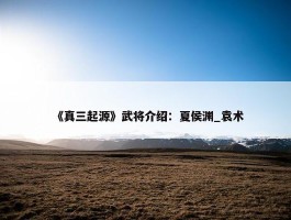 《真三起源》武将介绍：夏侯渊_袁术