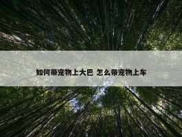 如何带宠物上大巴 怎么带宠物上车