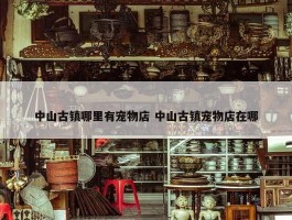 中山古镇哪里有宠物店 中山古镇宠物店在哪