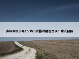 卢伟冰报小米15 Pro价格时出现口误：本人回应