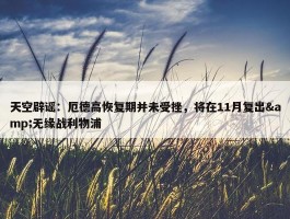 天空辟谣：厄德高恢复期并未受挫，将在11月复出&无缘战利物浦