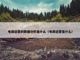 电商运营的数据分析是什么（电商运营是什么）