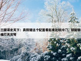 三国谋定天下：真假猪这个配置看起来比较冷门，却能够痛打天灾弩