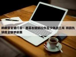 鹈鹕官宣遭打击：墨菲右腿筋拉伤至少休战三周 将因伤缺席全部季前赛