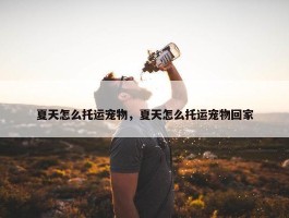 夏天怎么托运宠物，夏天怎么托运宠物回家