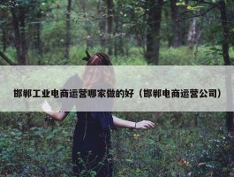 邯郸工业电商运营哪家做的好（邯郸电商运营公司）