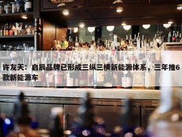 许友天：启辰品牌已形成三纵三横新能源体系，三年推6款新能源车