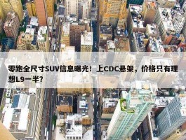 零跑全尺寸SUV信息曝光！上CDC悬架，价格只有理想L9一半？