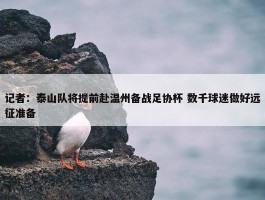 记者：泰山队将提前赴温州备战足协杯 数千球迷做好远征准备