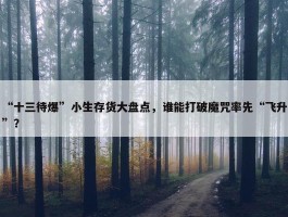 “十三待爆”小生存货大盘点，谁能打破魔咒率先“飞升”？