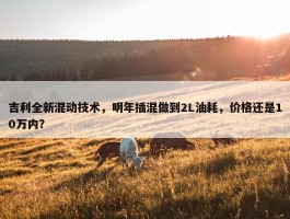 吉利全新混动技术，明年插混做到2L油耗，价格还是10万内？